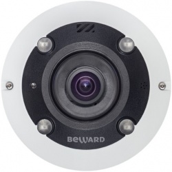BD3990FL2 - Панорамная купольная IP камера 12 Мп