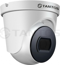 TSc-Ve2HDf (2.8 mm) - Уличная купольная универсальная видеокамера